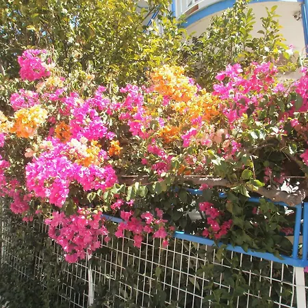 Seaview - Selfcatering - Helen No 6 Apartment *